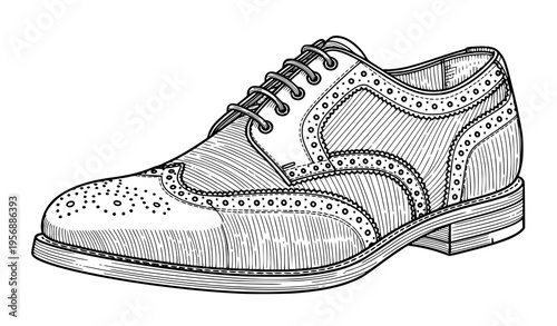A detailed illustration of a brogue dress shoe with intricate designs and patterns