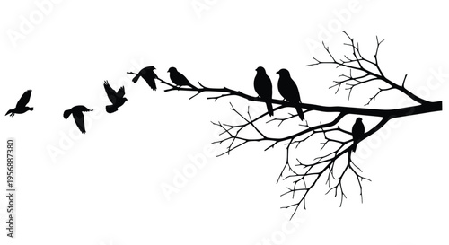 A flock of birds taking flight from a bare tree branch silhouette
