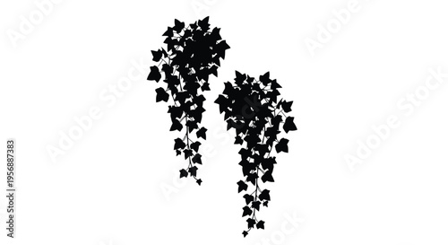 Delicate ivy leaves cascading down in a striking black silhouette