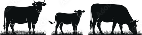 Set of black cow silhouettes grazing in grass field featuring adult cows and a calf for dairy farm agriculture livestock ranch and organic meat.