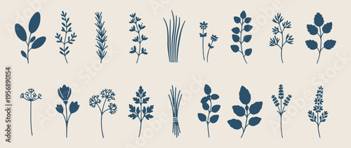 Wedding illustrations, marriage symbols, love and romance sketches, bride and groom drawings, ceremony elements, wedding decoration icons, floral arrangement art.
