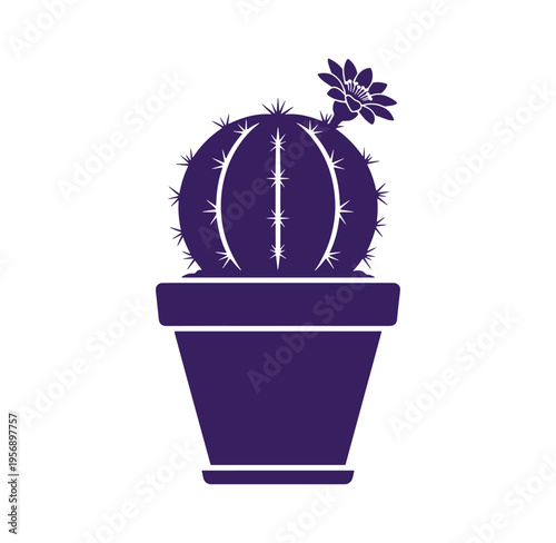 Purple cactus in a pot with a flower on top isolated on white background