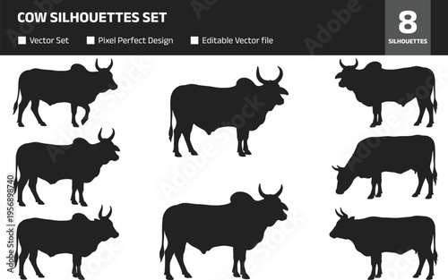 Cow silhouettes set, cattle livestock collection, farm animals vector illustration isolated on white background for agriculture and rural design