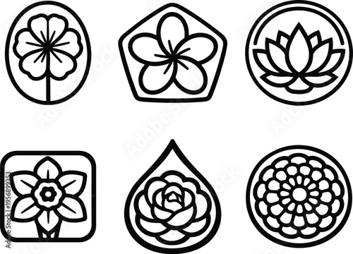 Black and white floral patterns in circular and hexagonal frames circular frame abstract symmetry