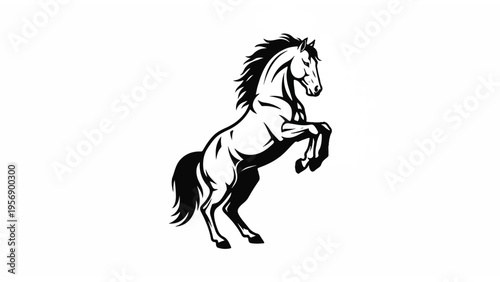 Black and White Horse Illustration Rearing 11.