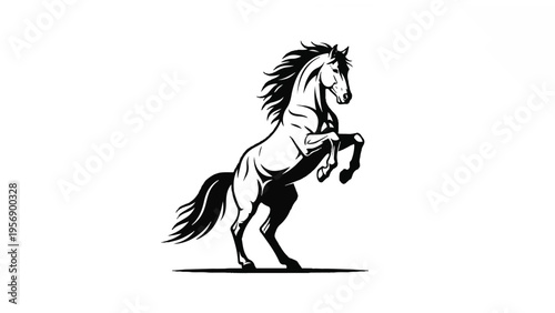 Black and White Horse Illustration Rearing 10.