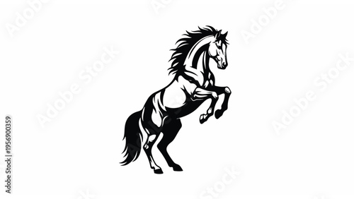 Black and White Horse Illustration Rearing 13.