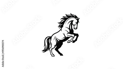 Black and White Horse Illustration Rearing Up 1.