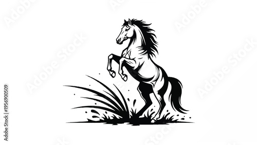 Black and White Horse Illustration Rearing.