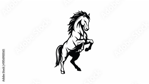 Black and White Horse Rearing Up.