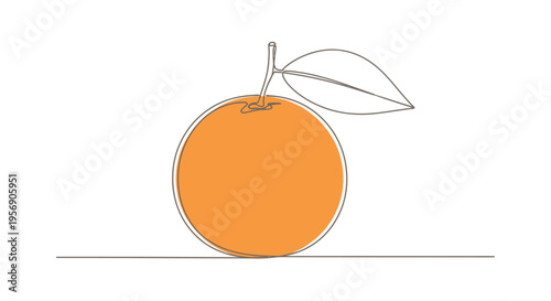 Single orange with a leaf, minimalist line art illustration