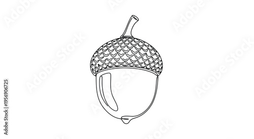 Acorn one line drawing, oak nut symbol