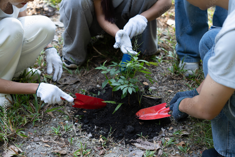 Fototapeta premium Group of Asian people planting seedling in forest