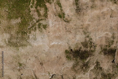 An aged concrete surface partially covered in dark green moss and organic growth from moisture