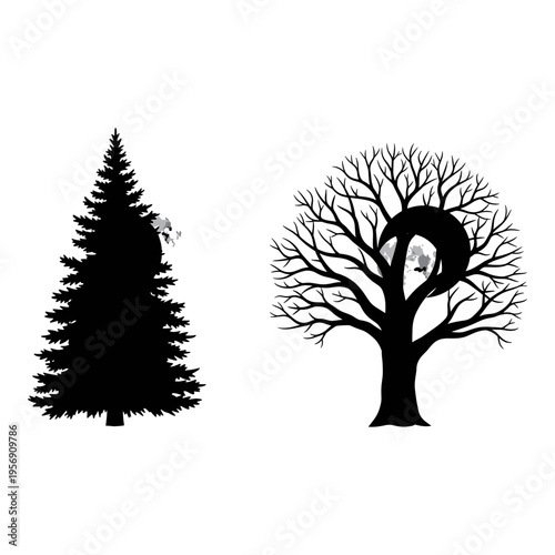 Contrasting silhouettes of evergreen and deciduous trees with hidden faces Vector, illustration