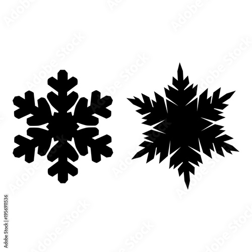 Two stylized black snowflakes with distinct crystalline patterns against a plain background Vector, illustration