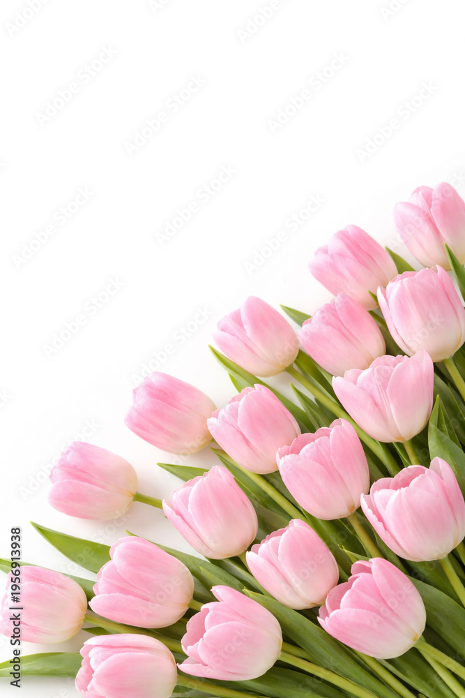 Fototapeta premium Pink tulips bouquet on white background