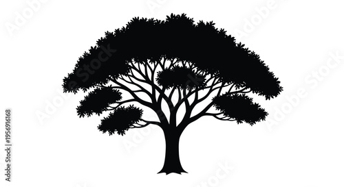 A striking black tree form against a white background silhouette