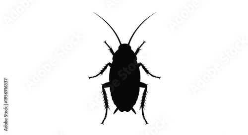 A stark black silhouette of a cockroach against a white background silhouette
