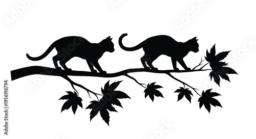 Two cats perch on a branch with maple leaves a striking silhouette