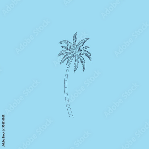 illustration of a palm tree with detailed fronds against a light blue background.