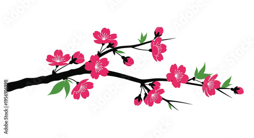 Delicate pink blossoms branch out against a stark dark silhouette