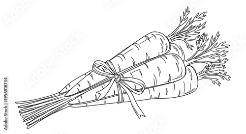 Vector illustration of two bunches of wheat tied with ribbon