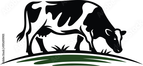 Black and white cow grazing on green grassy hill side view