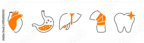 A set of 5 mix icons as heart, stomach, liver