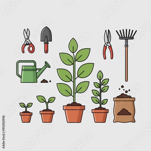 Gardening Tools and Plants in Pots, Growing Plants Concept