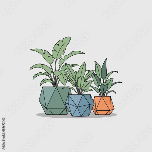 Group of three potted houseplants with geometric planters on a light grey background