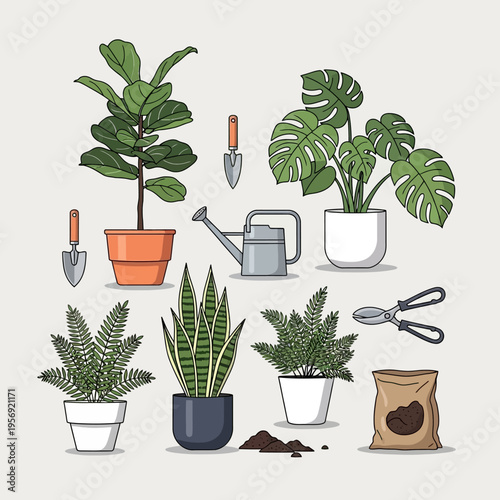 Houseplants and Gardening Tools: A Collection of Potted Plants, Watering Can, and Pruners