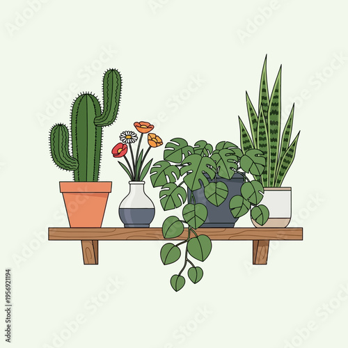 Houseplants on a Shelf: Cactus, Monstera, Snake Plant, and Flowers