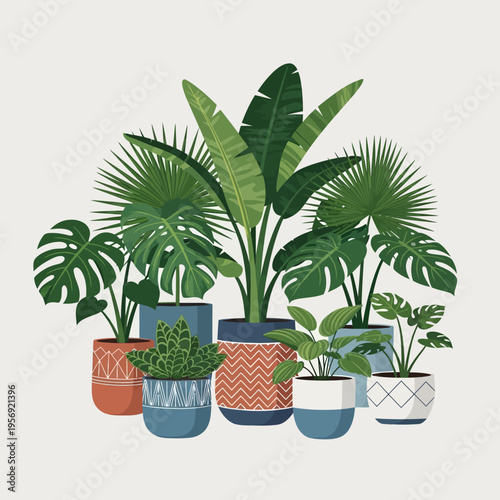 Diverse Potted Houseplants Collection: Tropical Foliage, Succulents, Modern Pots