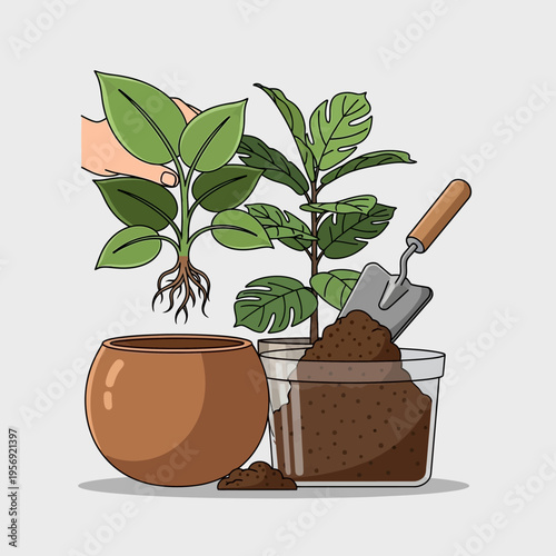 Gardening: Planting a Young Plant in a Pot with Soil and Tools