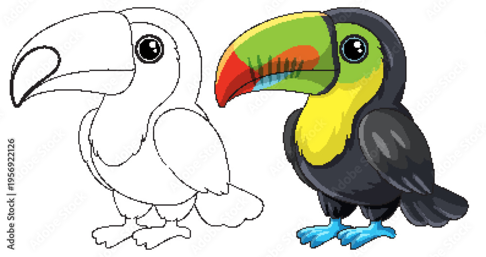 Fototapeta premium Cute Cartoon Toucan Illustration in Color and Line Art Versions