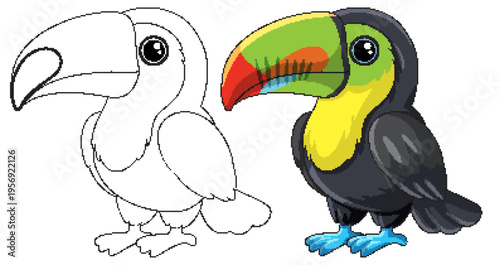 Cute Cartoon Toucan Illustration in Color and Line Art Versions