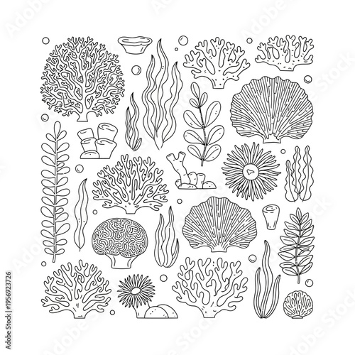 Underwater Coral Reef Elements Collection: Seaweed, Corals, Shells, Bubbles - Vector Illustration