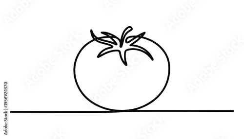 One continuous line illustration of an Tomatoes vegetable, isolated on white background.