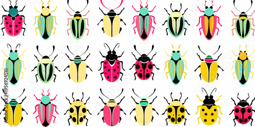 A vibrant collection of colorful beetles arranged in neat rows
