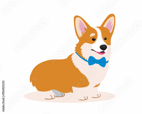 A charming corgi dog stands proudly wearing a blue bow tie