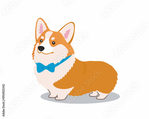 A charming corgi dog stands wearing a blue bow tie