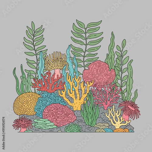 Vibrant Coral Reef Ecosystem Illustration with Diverse Marine Life and Seaweed