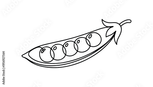One continuous line illustration of an Peas vegetable, isolated on white background.