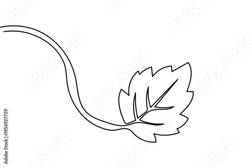 Autumn leaf single line art simple minimalist outline vector isolated design