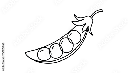 One continuous line illustration of an Peas vegetable, isolated on white background.