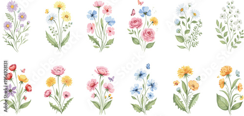 Pastel wildflower collection with blooming garden flowers and botanical elements soft floral vector illustration set isolated