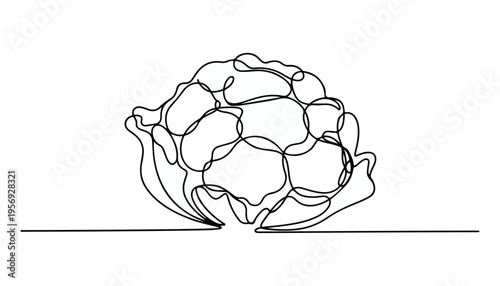 One continuous line illustration of an Cauliflower vegetable, isolated on white background.