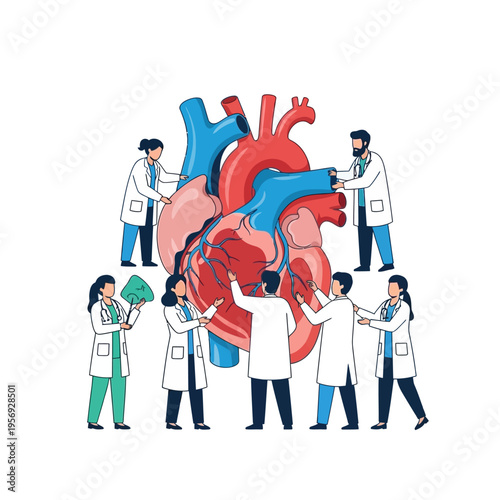 Medical Team Examining Giant Human Heart Model, Cardiology Concept