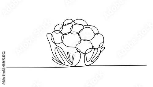 One continuous line illustration of an Cauliflower vegetable, isolated on white background.